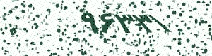 PAM-CAPTCHA-GENERATOR