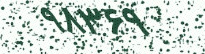 PAM-CAPTCHA-GENERATOR