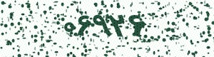 PAM-CAPTCHA-GENERATOR