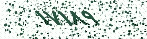 PAM-CAPTCHA-GENERATOR