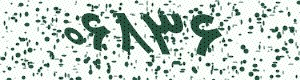 PAM-CAPTCHA-GENERATOR
