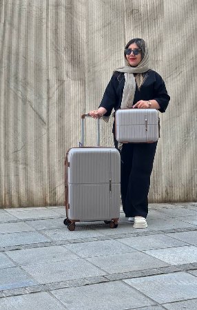 تصویر برای گروه چمدان بزرگسال