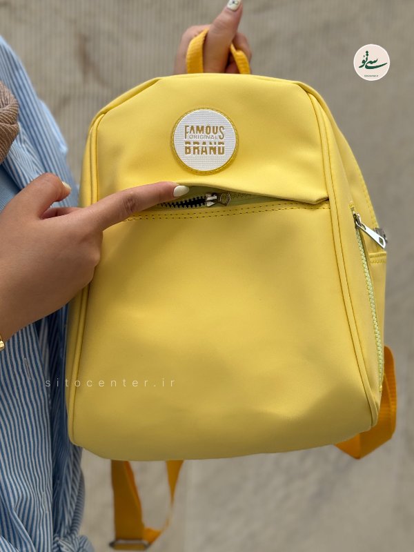 كوله پشتی FAMOUS