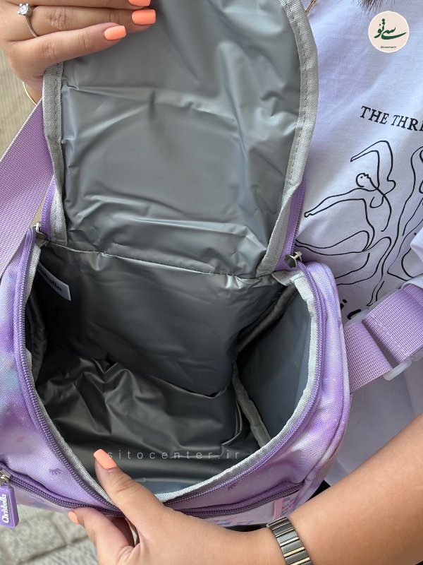 کوله پشتی سه تیکه Chrisbella مدل کرومی کد 1005